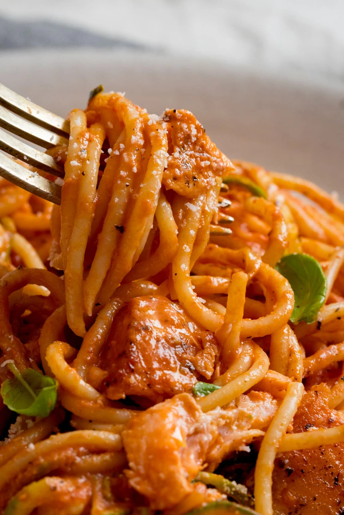 Forkful of spaghetti being taken from a bowl of salmon and spaghetti.