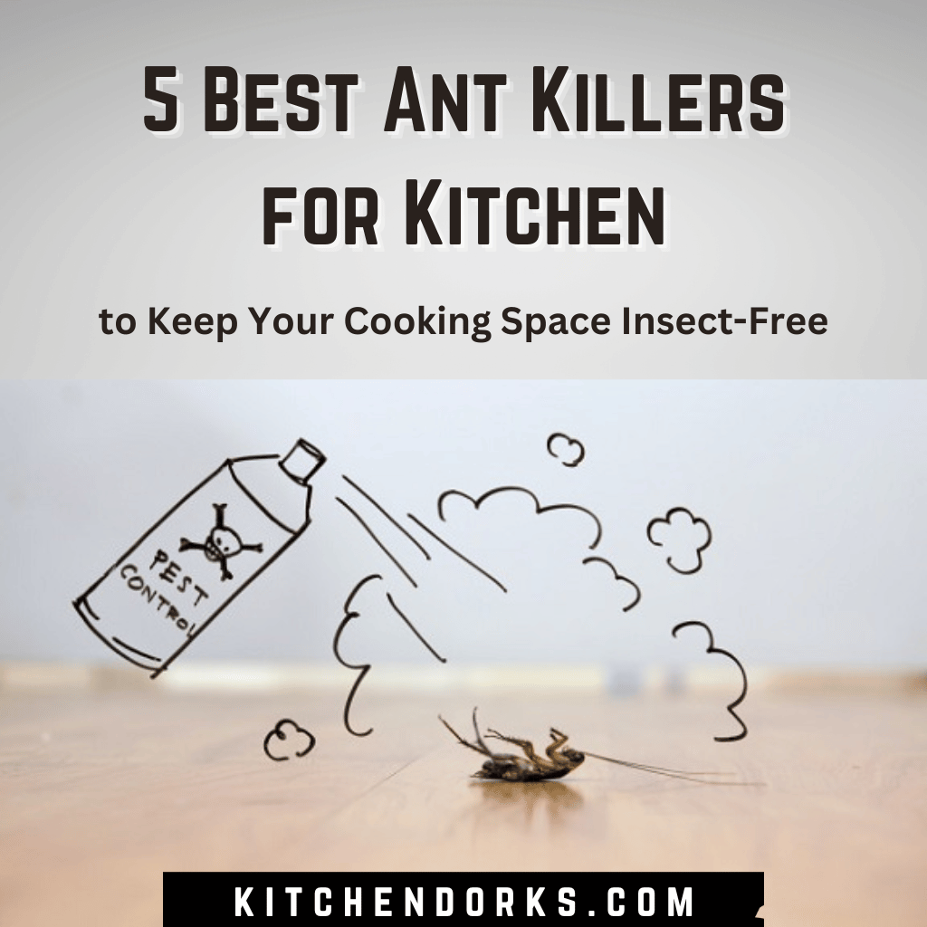 5 Best Ant Killers for Kitchen