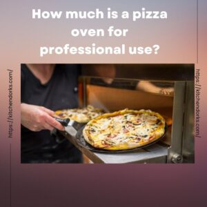 How much is a pizza oven for professional use?